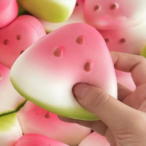 Squishy Watermelon Toy